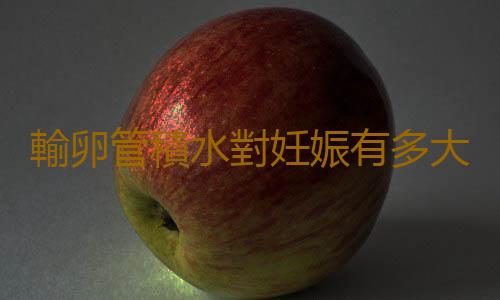 輸卵管積水對妊娠有多大影響?
